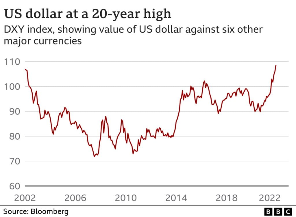 USD at 20 year high